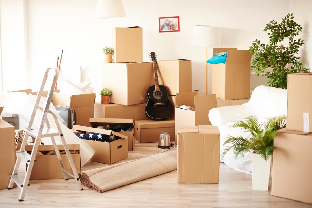 Household Storage