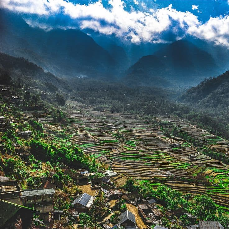 Gati Shifting Packers services in Nagaland