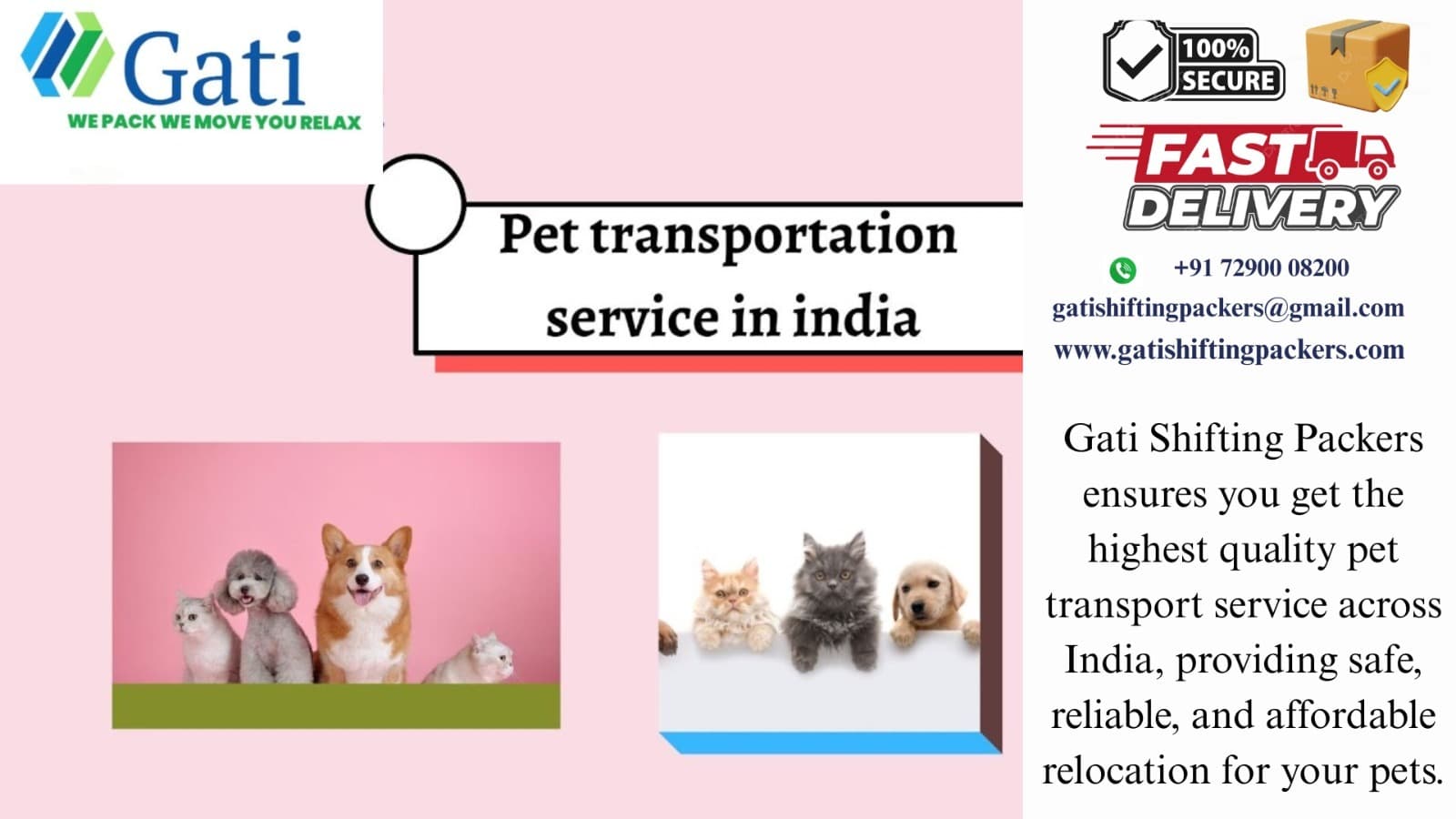 Pet being safely transported by Gati Shifting Packers